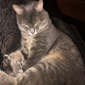 Meet your Posher, Tom